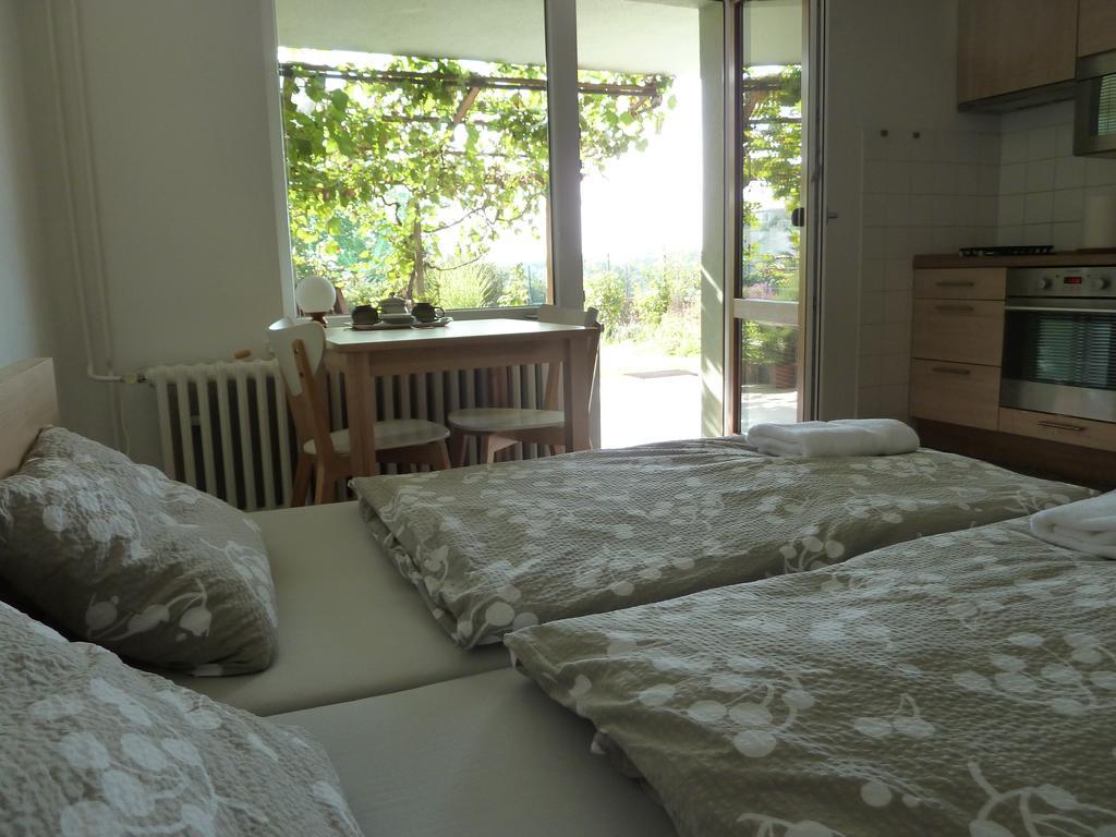 Ubytovani Vinohrady 73 Znojmo Extérieur photo